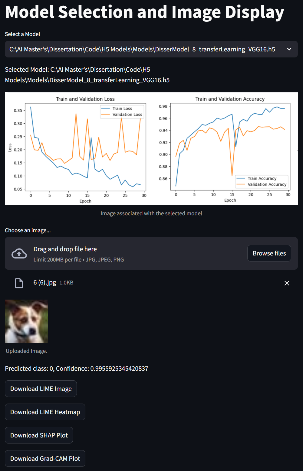 Swagger UI 1